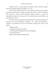 Vadybos funkcijų sistema 13 puslapis