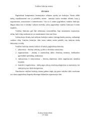 Vadybos funkcijų sistema 14 puslapis