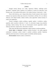 Vadybos funkcijų sistema 3 puslapis