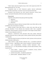 Vadybos funkcijų sistema 5 puslapis