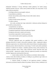 Vadybos funkcijų sistema 7 puslapis