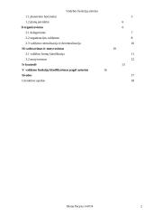 Vadybos funkcijų visuma ir sistema 2 puslapis