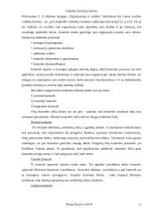 Vadybos funkcijų visuma ir sistema 11 puslapis