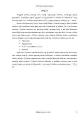 Vadybos funkcijų visuma ir sistema 3 puslapis