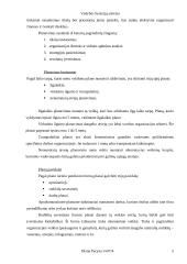 Vadybos funkcijų visuma ir sistema 5 puslapis