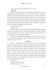 Vadybos funkcijų visuma ir sistema 10 puslapis