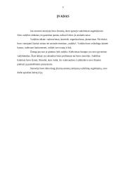 Vadybos mintis senuosiuose šaltiniuose 3 puslapis