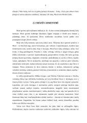 Vadybos mintis senuosiuose šaltiniuose 6 puslapis