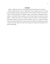 Vadybos mokslo raida. Vadybos mokyklos 2 puslapis