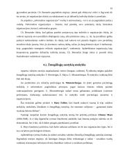 Vadybos mokslo raida. Vadybos mokyklos 16 puslapis