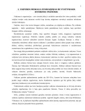 Vadybos mokslo raida. Vadybos mokyklos 3 puslapis