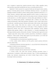 Vadybos mokslo raidos etapai 3 puslapis