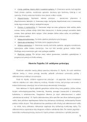 Vadybos mokslo raidos etapai 5 puslapis