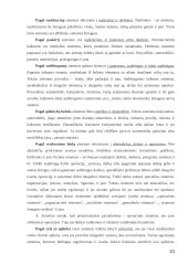 Vadybos mokslo raidos etapai 10 puslapis