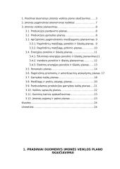 Vadybos pagrindai 2 puslapis