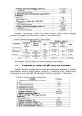 Vadybos pagrindai 13 puslapis