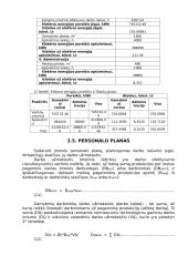 Vadybos pagrindai 15 puslapis