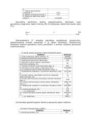 Vadybos pagrindai 17 puslapis