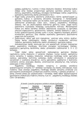 Vadybos pagrindai 20 puslapis