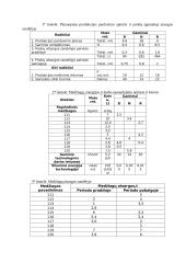 Vadybos pagrindai 3 puslapis