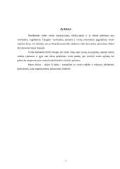 Vadybos samprata ir istorinė raida 3 puslapis