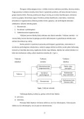 Vadybos sąvokos. Valdymo funkcijos ir metodai 17 puslapis