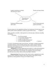 Vadybos sprendimai ir jų formavimo metodai 8 puslapis