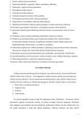 Vadybos studijų programų uždaviniai europinių standartų kontekste 6 puslapis