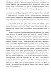 Vadybos studijų programų uždaviniai europinių standartų kontekste 10 puslapis