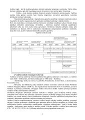 Pagrindinės vadybos teorijos 3 puslapis