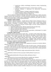 Pagrindinės vadybos teorijos 4 puslapis