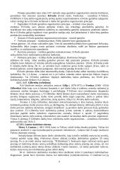 Pagrindinės vadybos teorijos 6 puslapis