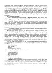 Pagrindinės vadybos teorijos 7 puslapis