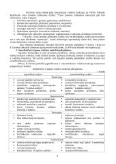 Pagrindinės vadybos teorijos 8 puslapis