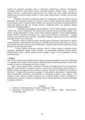 Pagrindinės vadybos teorijos 10 puslapis