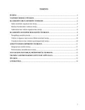 Vadybos teorijų raida 2 puslapis