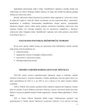 Vadybos teorijų raida 13 puslapis