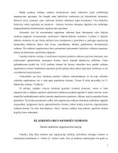 Vadybos teorijų raida 4 puslapis