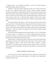 Vadybos teorijų raida 5 puslapis