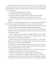 Vadybos teorijų raida 7 puslapis