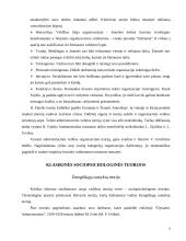 Vadybos teorijų raida 8 puslapis