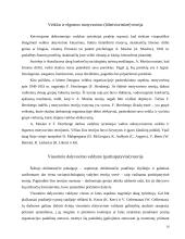 Vadybos teorijų raida 10 puslapis