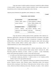 Vadovas — bendravimo plėtotės organizatorius 6 puslapis