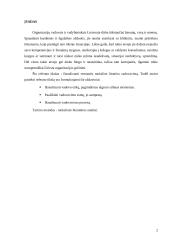 Vadovavimo analizė 2 puslapis