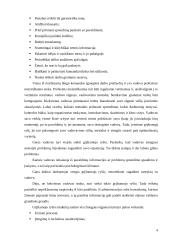 Vadovavimo analizė 4 puslapis