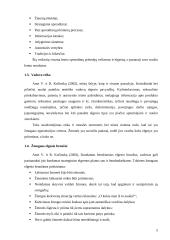 Vadovavimo analizė 5 puslapis