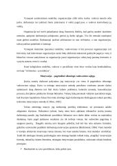 Vadovavimas (teorinė dalis) 3 puslapis
