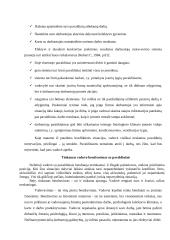 Vadovavimas (teorinė dalis) 4 puslapis