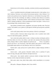 Vadovavimas (teorinė dalis) 6 puslapis