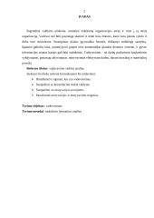 Vadovavimo veiklos analizė 2 puslapis